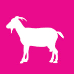 goats