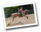 a horse jumps over a bar in a competition at the Carver County Fair