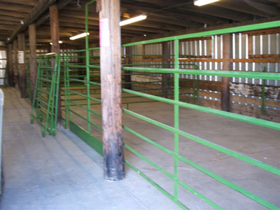 Carver County Fair Beef Barn