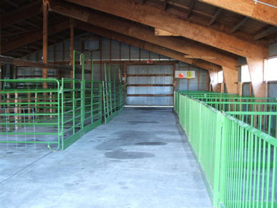 Carver County Fair Hog and Sheep Barn