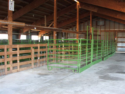 Carver County Fair Hog and Sheep Barn