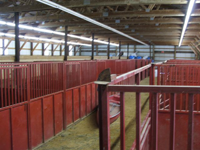 Carver County Fair Horse Barn