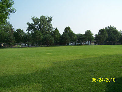 Carver County Fair Midway Area