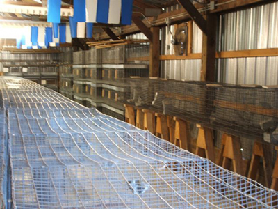 Carver County Fair Rabbit Barn