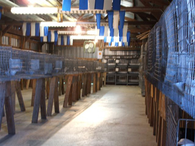 Carver County Fair Rabbit Barn