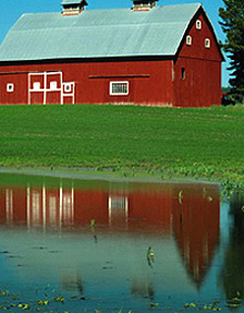 a red barn and green lawn reflected in a pond
