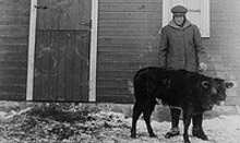 historical black and white photo of a man and his cow