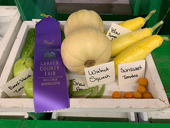 a group of vegetables with a purple Champion ribbon at the Carver County Fair