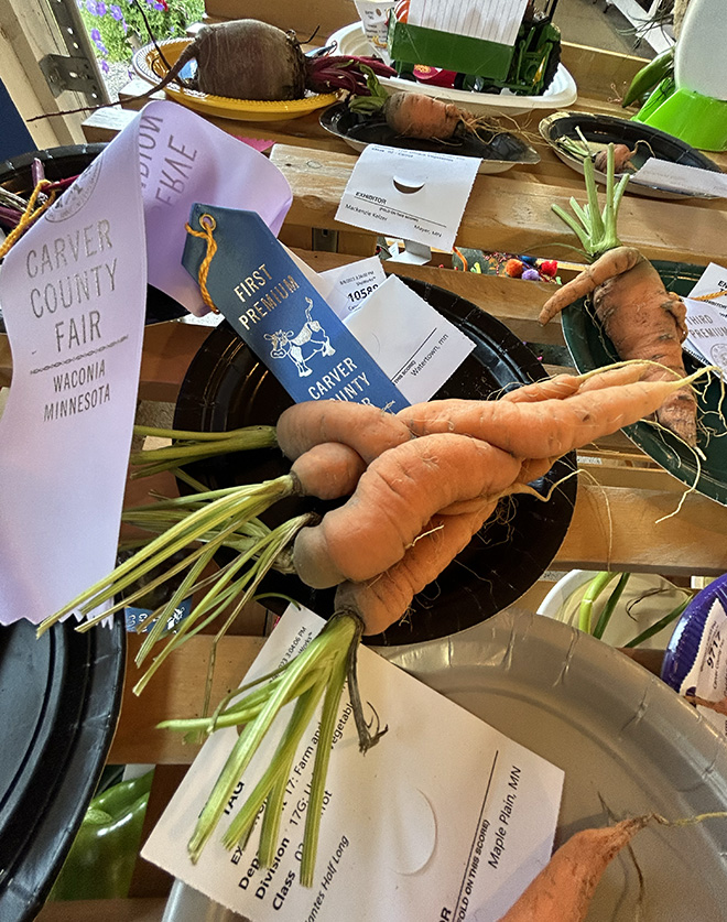 photography exhibits at the Carver County Fair