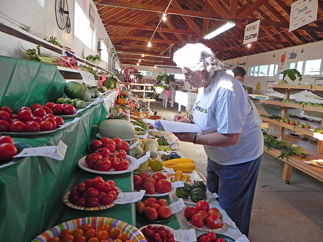 A woman judging vegetables in the Agriculture Building at the Carver County Fair