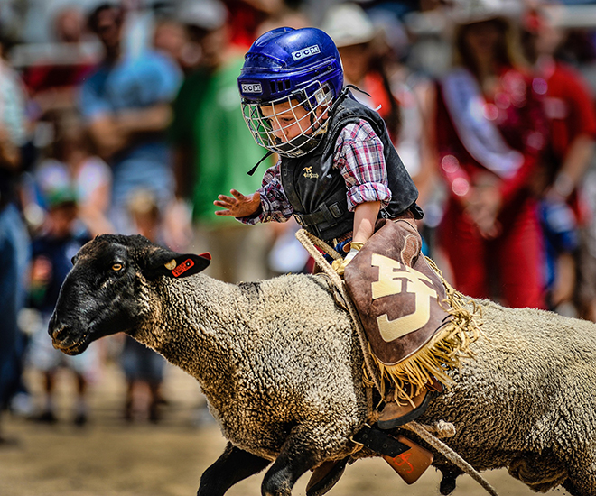 kid riding a sheep