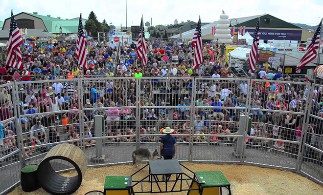 looking down from behind the Wolves of the World stage at the ring and gathered crowd